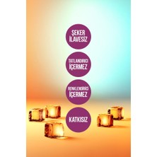 Herby Ice Tea Soğuk Çay Şeker İlavesiz Karışık Deneme Paketi 250 ml x 12