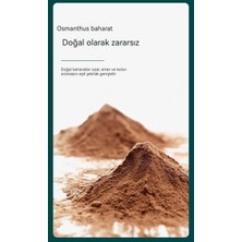Huisheng Kokulu Süslemeli Araba Kartı Uzun Ömürlü R Yıldız Tütsü (Yurt Dışından)