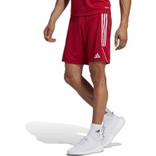 adidas Erkek Şort IB8082