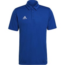 adidas Entrada 22 Erkek Polo Yaka Tişört HG6285