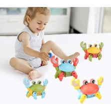 Brother Toys Yürüyen Yengeç Oyuncak Ipli Işıklı Müzikli Emeklemeye ve Yürümeye Yardımcı