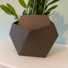 Fibrika Store Modern Altıgen Duvar Saksısı