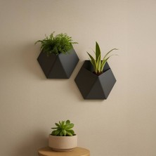 Fibrika Store Modern Altıgen Duvar Saksısı