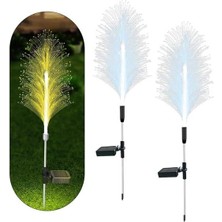 Powermaster PM-21642 Solar Ledli 7 Renk Değiştiren 2'li Paket Bahçe Dekorasyon Aydınlatma