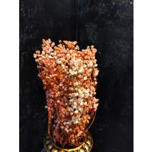 Şoklanmış Cipso (Bahar Yıldızı) 45-50GR Söz Nişan Süsleme Çiçeği Kuru Çiçek Ev Dekarasyon Kına Orgaizasyon Hediyelik