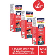 Asfstore Sorvagen Smart Kids Sıvı Form Sitikolin Dha Omega 3 Norveç Balık Yağı ve B12 150 ml 3 Adet