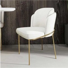 Kaktüs Avm 6'lı Gold Mutfak Sandalyesi Salon Sandalyesi Yemek Odası Sandalyesi 6 Adet Sandalye Baby Face