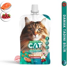 Kediler Için Pasta Ödül Maması - 100GR / Somon -Kızılcık