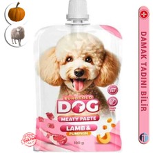 Köpekler Için Pasta Ödül Maması - 100GR / Kuzu -Bal Kabağı