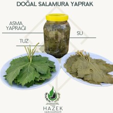 Hazek Salamura Asma Yaprağı 1000 gr