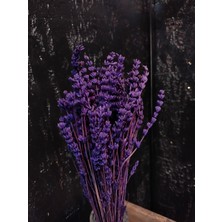 Kuru Çiçek Şoklanmış Lavanta  Demeti Gelin Eli Buketi Nişan Magnet Kına Organizasyon Çiçeği