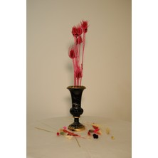 Kuru Çiçek Şoklanmış Limon Dikeni Vazo Çiçeği Dekoratif Arajman Çiçeği