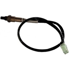 Falcon Fr 177 Racıng Oksijen Müşürü