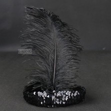 Vanch Yılbaşı Saç Tüyü Saç Bandı Siyah Renk