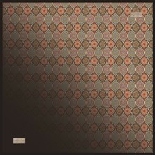 2447-04 Twıl Ipek 90X90