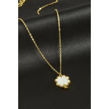 Yonca Sedef Lüks Çelik Kolye