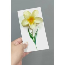 100 Adet Sarı Lotus Toka 8 cm Kına Seti