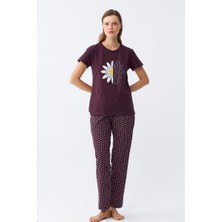 Modaserdem Akbeniz Kadın Mürdüm Papatya Baskılı Kısa Kollu Penye Pijama Takımı