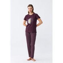 Modaserdem Akbeniz Kadın Mürdüm Papatya Baskılı Kısa Kollu Penye Pijama Takımı