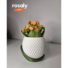 Rosaly Su Hazneli Dekoratif Saksı