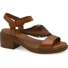 Kadın Yaprak Detaylı Hakiki Deri Sandalet Taba 25020310Y