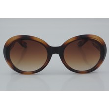 Despada DS 2119 C2 59 - 01 Güneş Gözlüğü