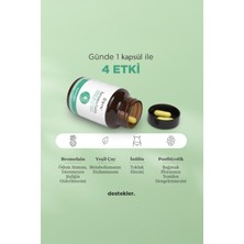 Frime Detox, Bromelain, Yeşil Çay Ekstresi, Inülin Prebiyotik , Postbiyotik

