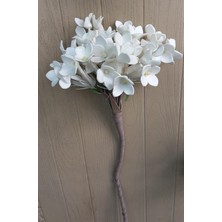 Yapay Çiçek Beyaz 80 cm