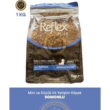 Reflex Plus Somonlu Mini ve Küçük Irk Yetişkin Köpek Maması 1kg
