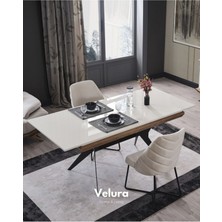 Velura Home & Living Velura Home Elize Yemek Odası Takımı Modern Tasarım Beyaz Renk Dikdörtgen Masa ve 4 Sandalye