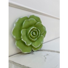 Büyük Duvar Gülü 25 cm