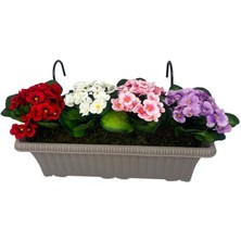 Yapay Çiçek Menekşe Mokka Küpeşte Askılı Saksıda Balkon Çiçeği