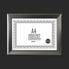 Vega Diploma Sertifika Çerçevesi