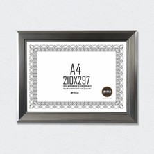 Vega Diploma Sertifika Çerçevesi
