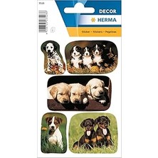 Herma 3528 Hayvan Çıkartması, Köpek Yavrusu Fotoğrafları (15 Çıkartma, Kağıt, Mat) Kendinden Yapışk
