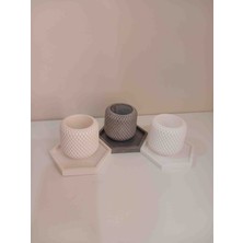 3’lü Modern Beton Saksı Seti – Kaktüs, Sukulent ve Mini Bitkiler Için (Dekoratif)