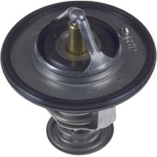 Blue Prınt ADC49210 Termostat Carısma