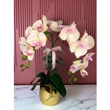 Yapay Orkide Premium Kalite Doğal Görünümlü Gold Metal Saksı Yapay Çiçek 55 cm Dekoratif Hediye Yapay Salon Çiçeği