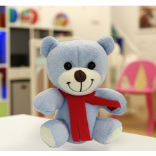 Mavi Peluş Oyuncak Ayıcık Kaliteli Peluş Sevgili Hediyesi 25cm Yumuşak Oyuncak Çocuklar Için Güvenli