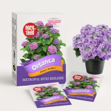 Agrofeed Saksı Gübresi - Ortanca Besleyen 10'lu Paket, Bitki Besini 