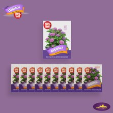 Agrofeed Saksı Gübresi - Ortanca Besleyen 10'lu Paket, Bitki Besini 