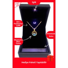 Işıklı Premium Kutuda | Yunus Balığı Çelik Kolye | 316L Çelik - Kararmaz | Hediye Paketi