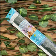 Çok Renkli Para Bahçe Tütsüsü, Pozitif Enerji ve Huzur Için Güzel Bir Seçim