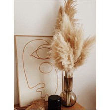 10 Adet Beyaz Pampas Otu, 50 Cm, Doğal ve Zarif Dekor Malzemesi