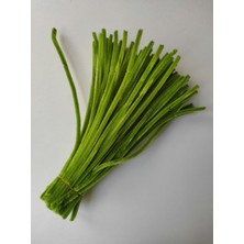 25 Adet Açık Ordu Yeşili Şönil, Eğitici Şönil Seti, Yoğun Tüylü Tel, 30 cm