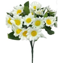 Beyaz Rüzgar Çiçekçilik Papatya 5 Dallı, Doğa ve Güzellik Dolu Güzel Çiçekler