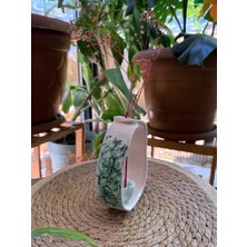 Arche Ceramic El Yapımı Seramik Çiçeklik / Mini Saksı - Yeşil - 15X11 cm - Tekli