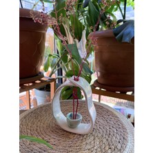 Arche Ceramic El Yapımı Seramik Çiçeklik / Mini Saksı - Yeşil - 15X11 cm - Tekli