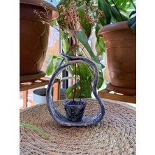 Arche Ceramic El Yapımı Seramik Çiçeklik / Mini Saksı - Mavi - 15X12 cm - Tekli
