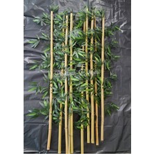 Doğal Bambu Çubuk Ayırıcı, 1.50 M, 10 Adet, Orta Asya, Şık ve Dayanıklı Aksesuar